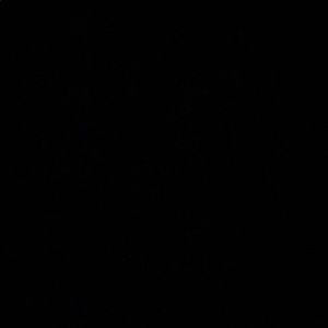 Meet your Posher, Reza